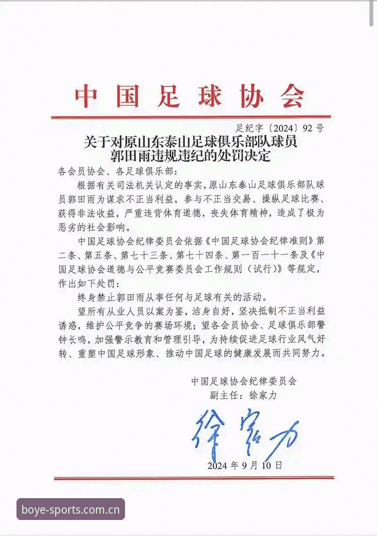 博业体育平台 足协重拳出击!17人终身禁足+48人遭罚的5大关键点,博业体育平台深度解读